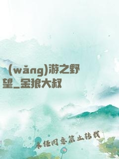 網(wǎng)游之野望