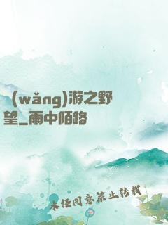 網(wǎng)游之野望