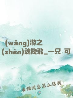 網(wǎng)游之鎮(zhèn)魂挽歌