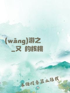 網(wǎng)游之雙劍傳說