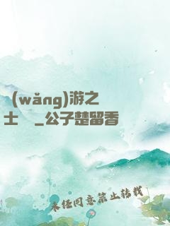 網(wǎng)游之騎士無雙