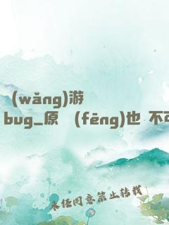 網(wǎng)游專屬bug