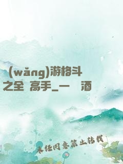 網(wǎng)游格斗之全職高手