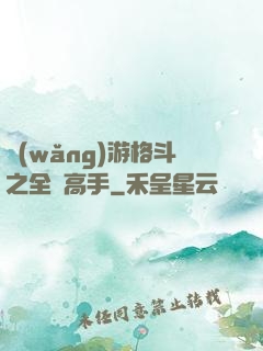 網(wǎng)游格斗之全職高手