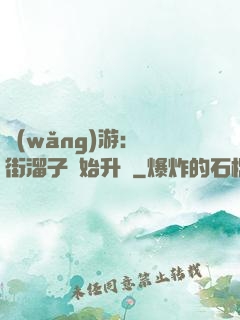 網(wǎng)游：從街溜子開始升級