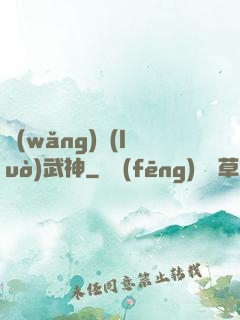 網(wǎng)絡(luò)武神