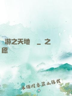 網游之天地縱橫