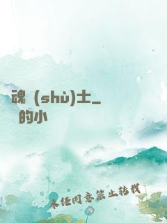緝魂術(shù)士