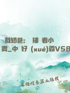 總裁奶爸：緝捕記者小妻
