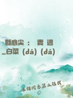 總裁心尖寵：嬌妻別逃