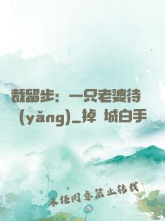 總裁留步：一只老婆待領養(yǎng)
