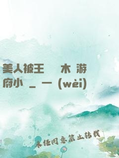 美人被王爺罰騎木驢游府小說