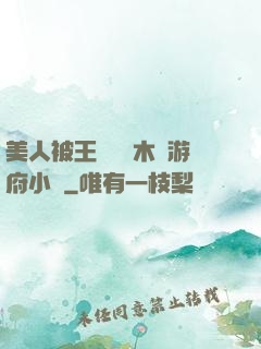 美人被王爺罰騎木驢游府小說