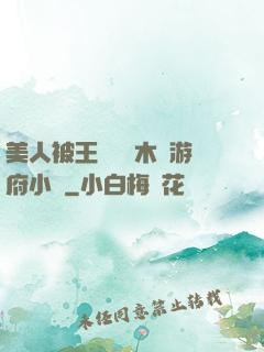 美人被王爺罰騎木驢游府小說