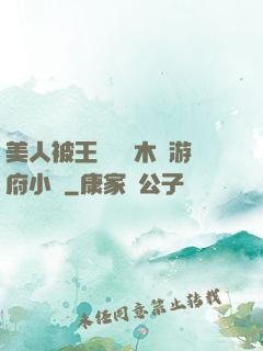 美人被王爺罰騎木驢游府小說