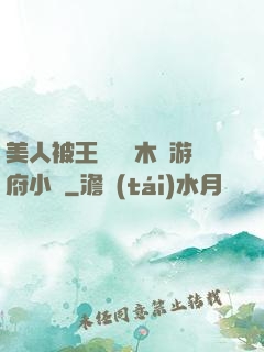 美人被王爺罰騎木驢游府小說