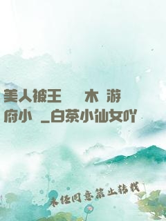 美人被王爺罰騎木驢游府小說