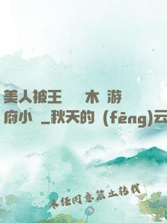 美人被王爺罰騎木驢游府小說