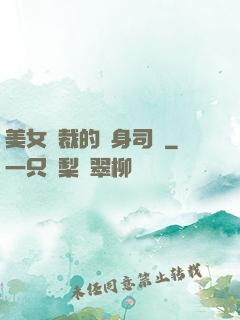 美女總裁的貼身司機