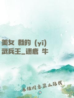 美女總裁的醫(yī)武兵王