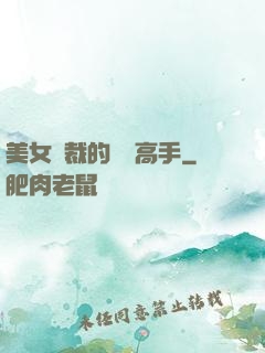 美女總裁的頂級高手