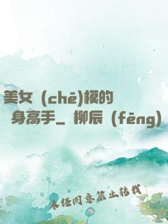 美女車(chē)模的貼身高手
