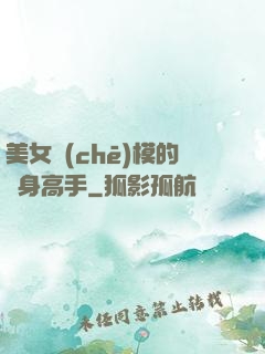 美女車(chē)模的貼身高手