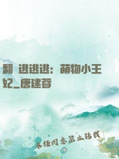 翻墻逃逃逃：萌物小王妃