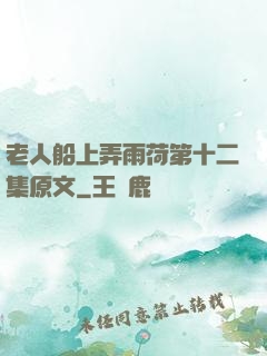 老人船上弄雨荷第十二集原文