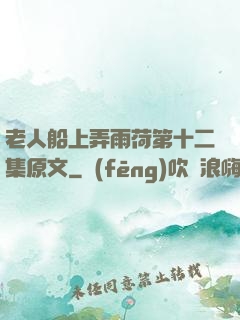 老人船上弄雨荷第十二集原文