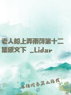 老人船上弄雨荷第十二集原文下載