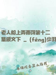 老人船上弄雨荷第十二集原文下載