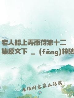 老人船上弄雨荷第十二集原文下載