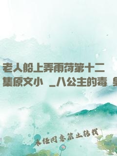 老人船上弄雨荷第十二集原文小說
