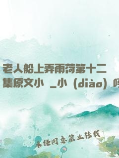 老人船上弄雨荷第十二集原文小說