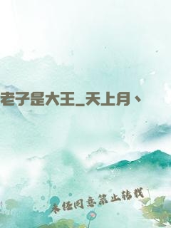 老子是大王