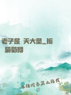 老子是齊天大圣