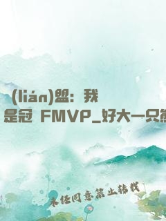 聯(lián)盟：我是冠軍FMVP