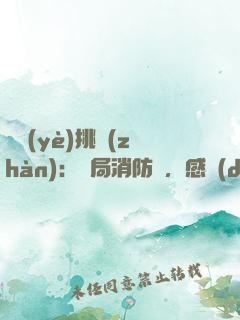 職業(yè)挑戰(zhàn)：開局消防員，感動(dòng)全網(wǎng)