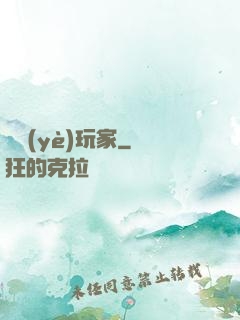 職業(yè)玩家
