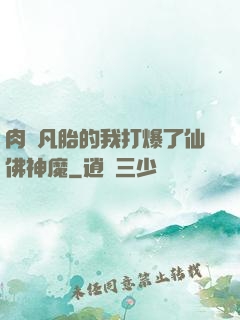 肉體凡胎的我打爆了仙佛神魔