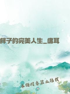 胖子的完美人生