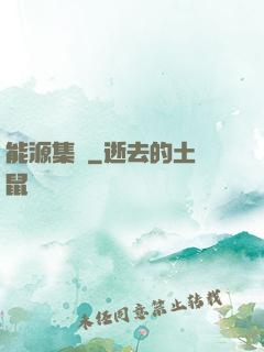 能源集團