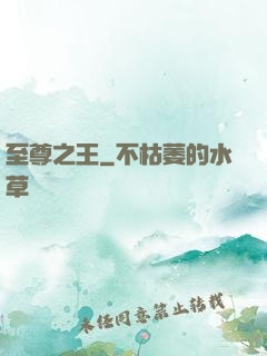 至尊之王