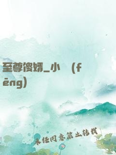 至尊傻婿