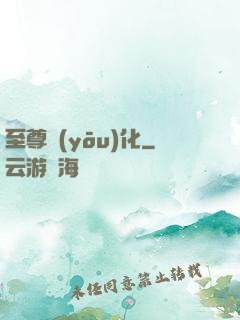 至尊優(yōu)化