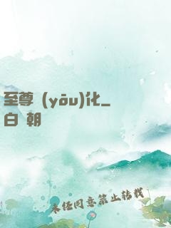 至尊優(yōu)化