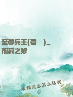 至尊兵王(零點風)