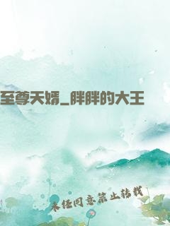 至尊天婿