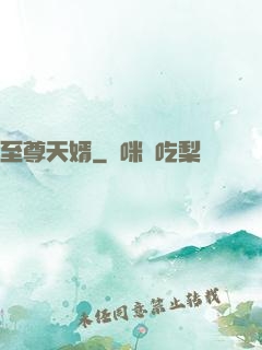 至尊天婿